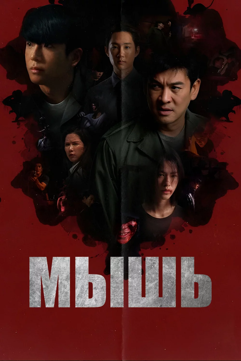 Мышь