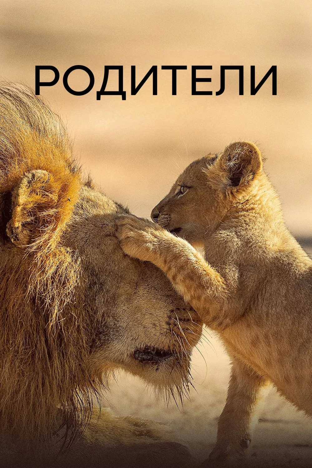 Родители